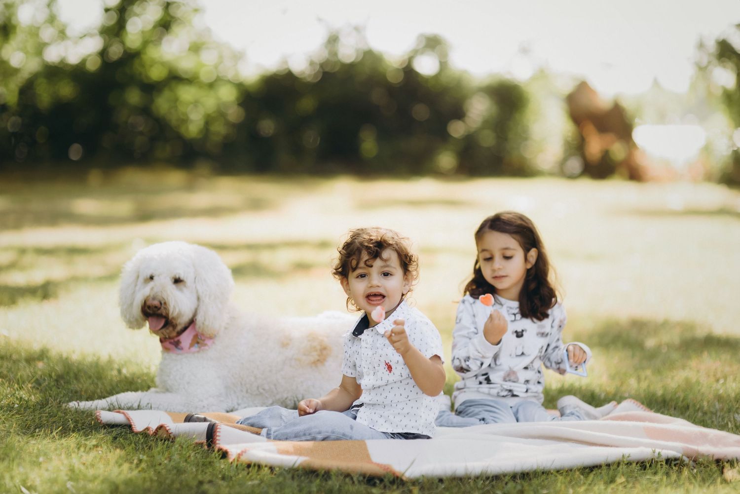 Siblings in the park snack with threats in the company of their puppy