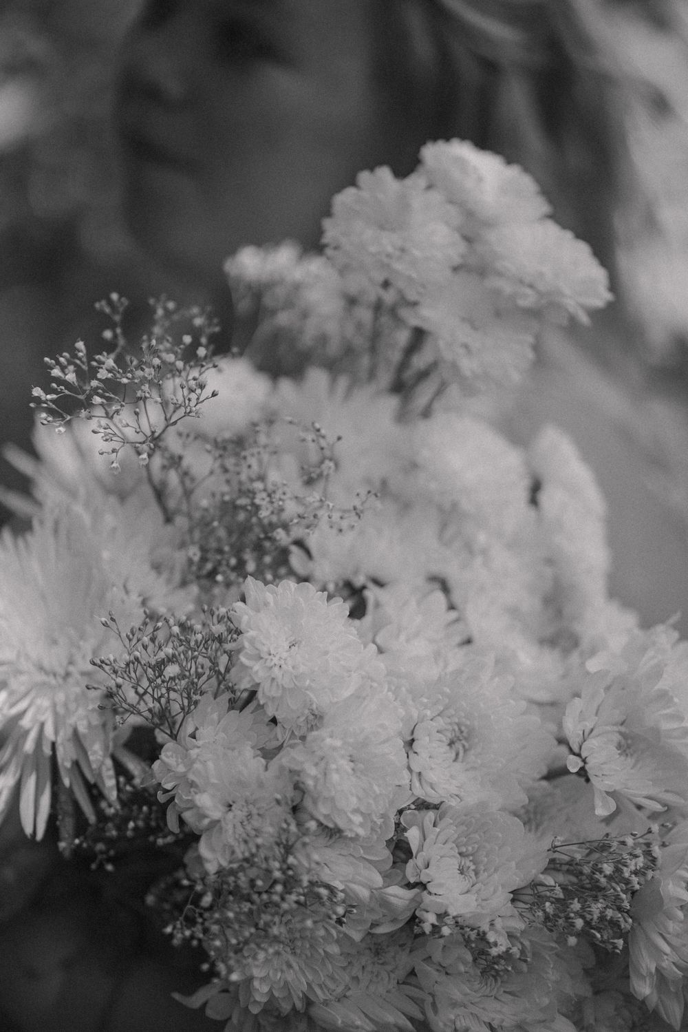 Close-up black and white photo of delicate white flowers with soft, dreamy bokeh effect.