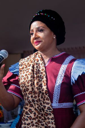 Elegant performer in burgundy and leopard print dress holding microphone on stage.
