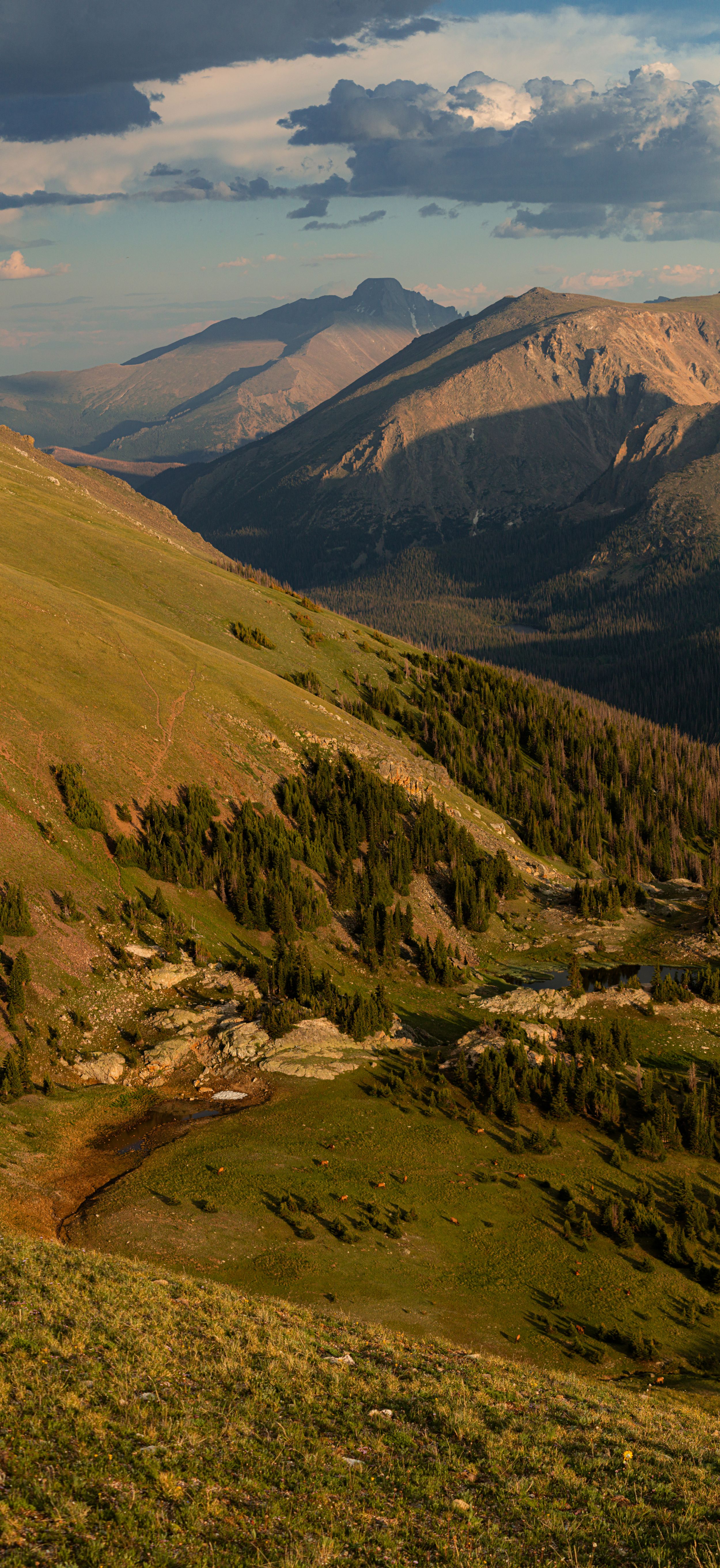 Golden sunlight illuminates mountain valley with steep slopes and evergreen forest in Rocky Mountain National Park.