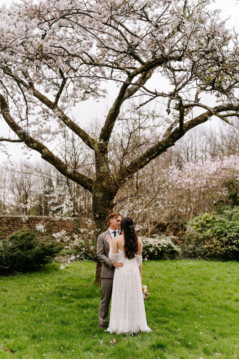 A couple shares an intimate moment under a blooming cherry blossom tree in a spring garden setting.