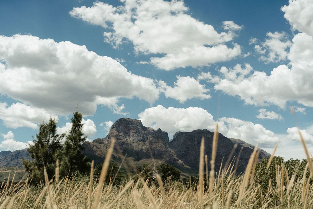 Dramatic mountain peak rises behind golden wheat stalks against a blue sky with puffy white clouds in Arizona wilderness.