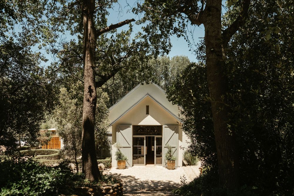 A charming white chapel nestled among tall trees in a peaceful forest setting.