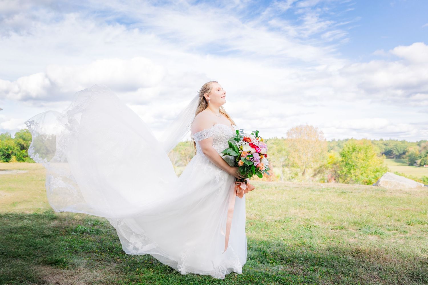 A white wedding dress flows dramatically in the breeze against a blue sky and mountain landscape.