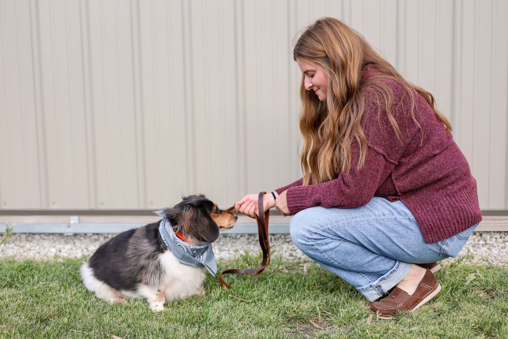 A person in a burgundy sweater crouches down to pet a black and white dog sitting on grass beside a wall.