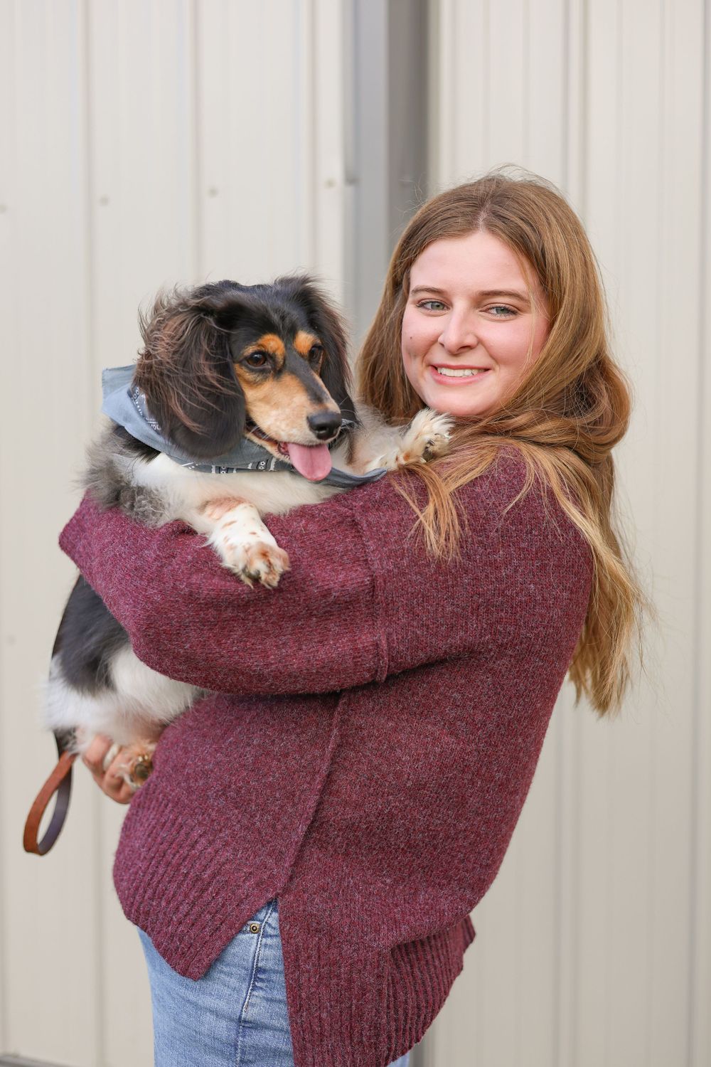 A black and tan dog wearing a collar is being held while wearing a burgundy sweater against a light background.