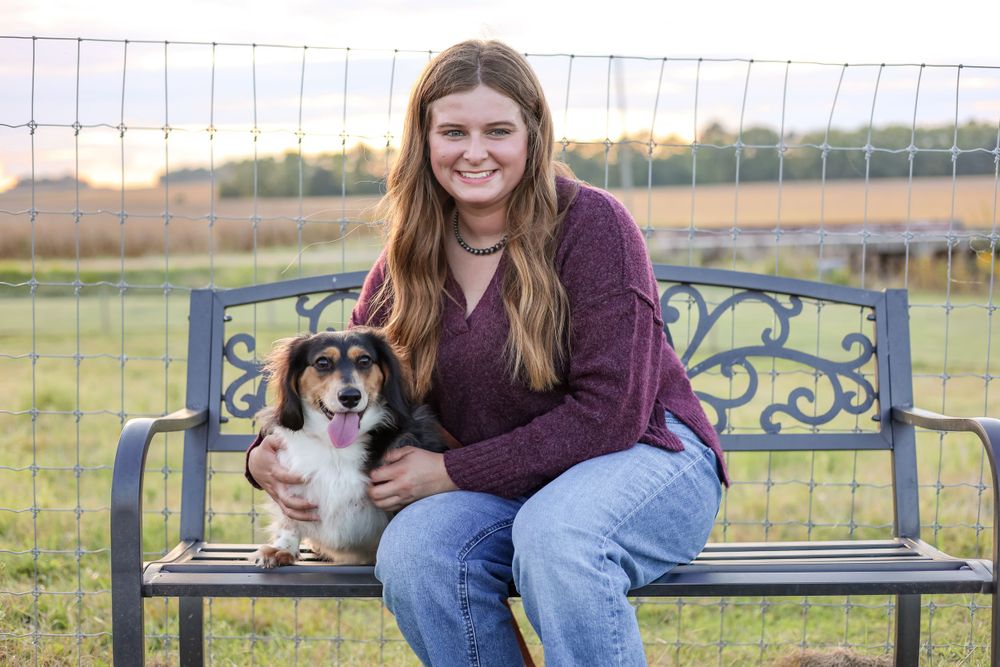 Happy Corgi mix dog sits on decorative metal bench with companion in burgundy sweater during golden hour.