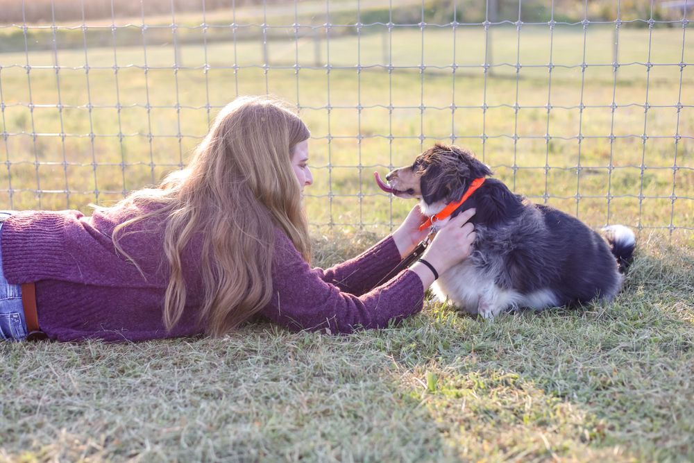 A dog lies in the grass beside someone wearing a purple sweater on a sunny afternoon.