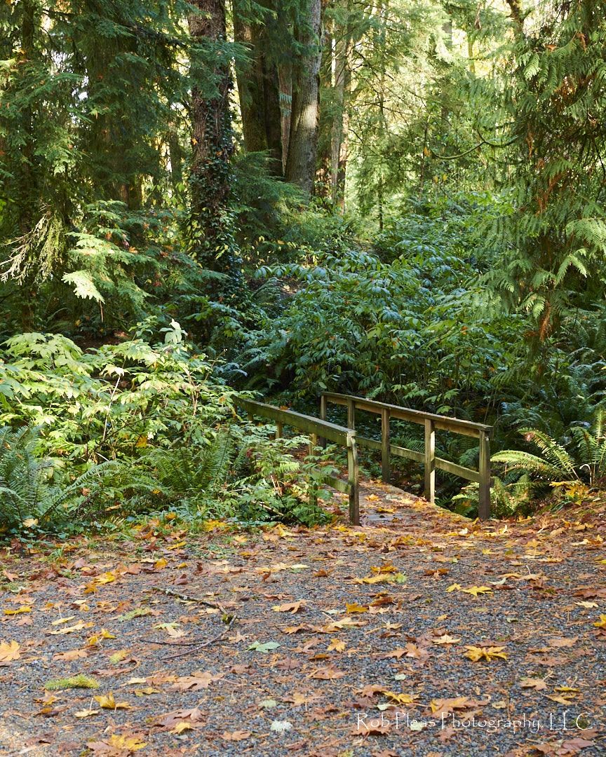 Bridge over creek by playground parking lot at Wildwood Park, Puyallup, WA.