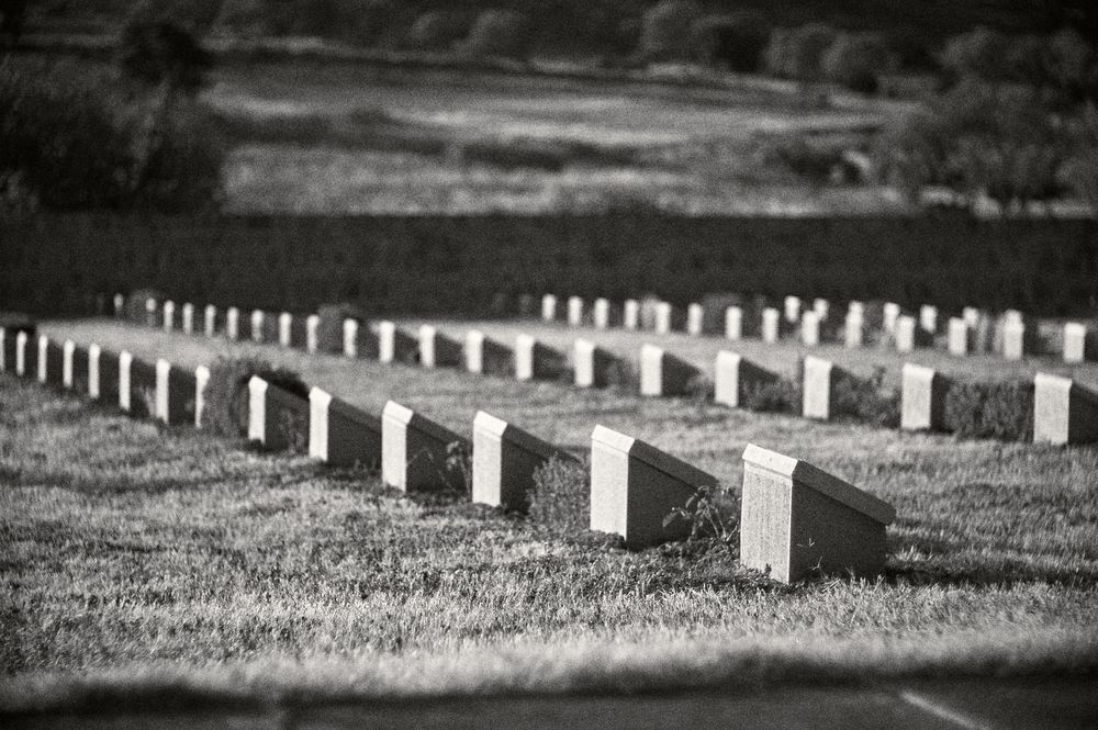 A row of white military cemetery headstones extends into the distance under an overcast sky.