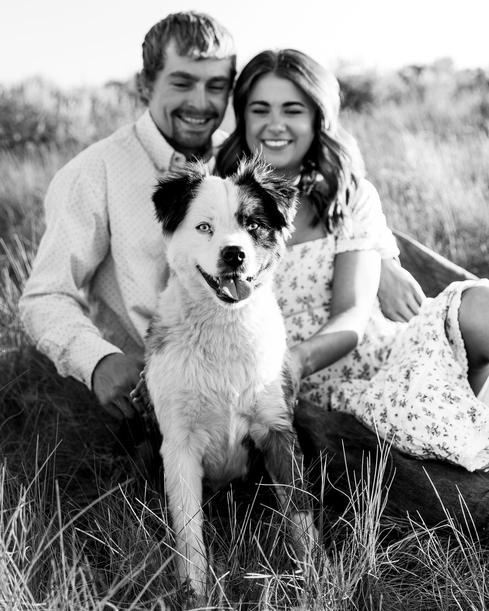 A couple sits together in a grassy field with their fluffy white dog during a romantic outdoor photoshoot.