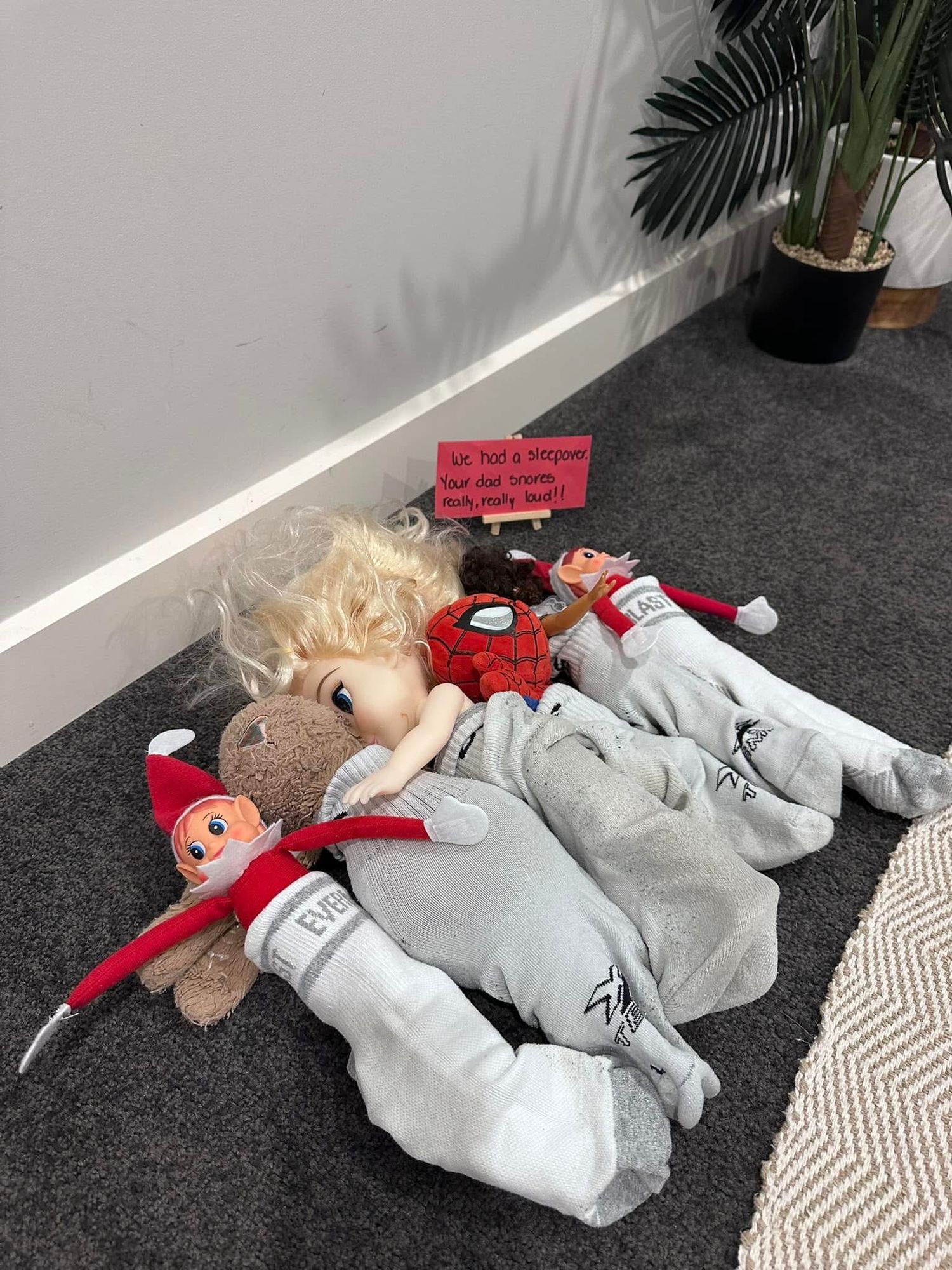 Stuffed animals and plush toys lie scattered on a gray carpet near a wall with sunlight streaming in.