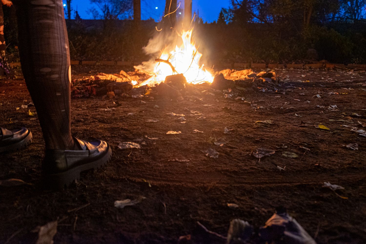 A large bonfire burns brightly against a dark night sky with trees silhouetted in the background.
