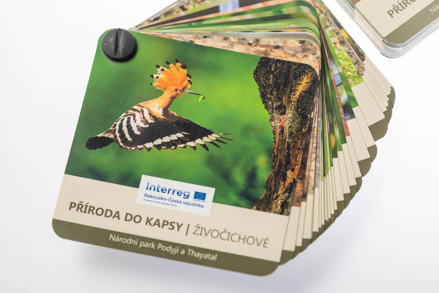 fotografie michal schneider foto photo photography grafika kniha sazba tisk tiskarna cena ceník podyji reklama reklamní předměty park