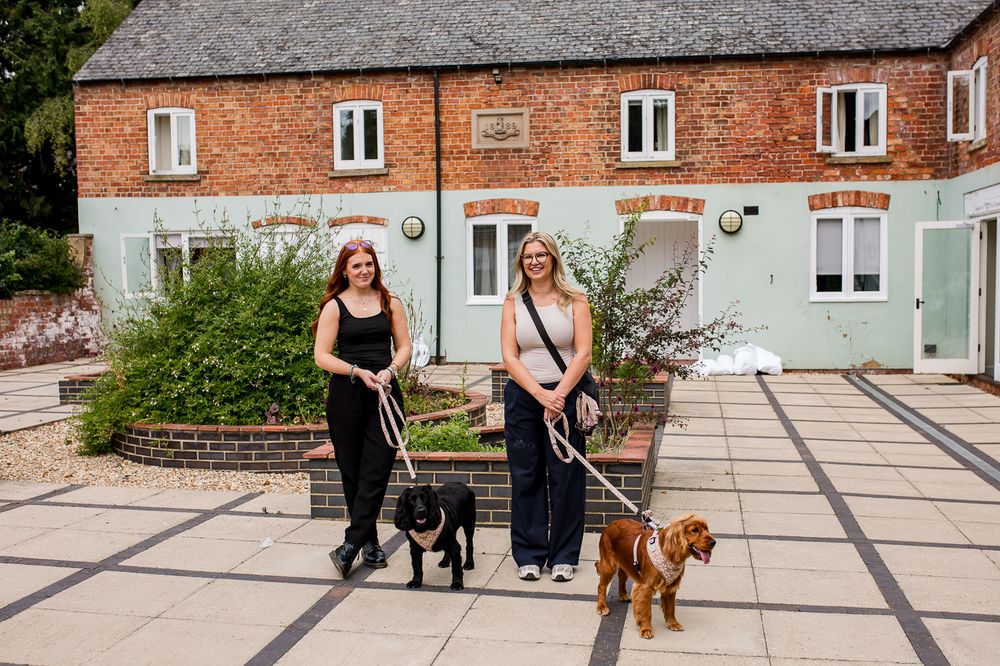 Wedding ceremony guests gather on a stone courtyard with a brown dog in attendance.