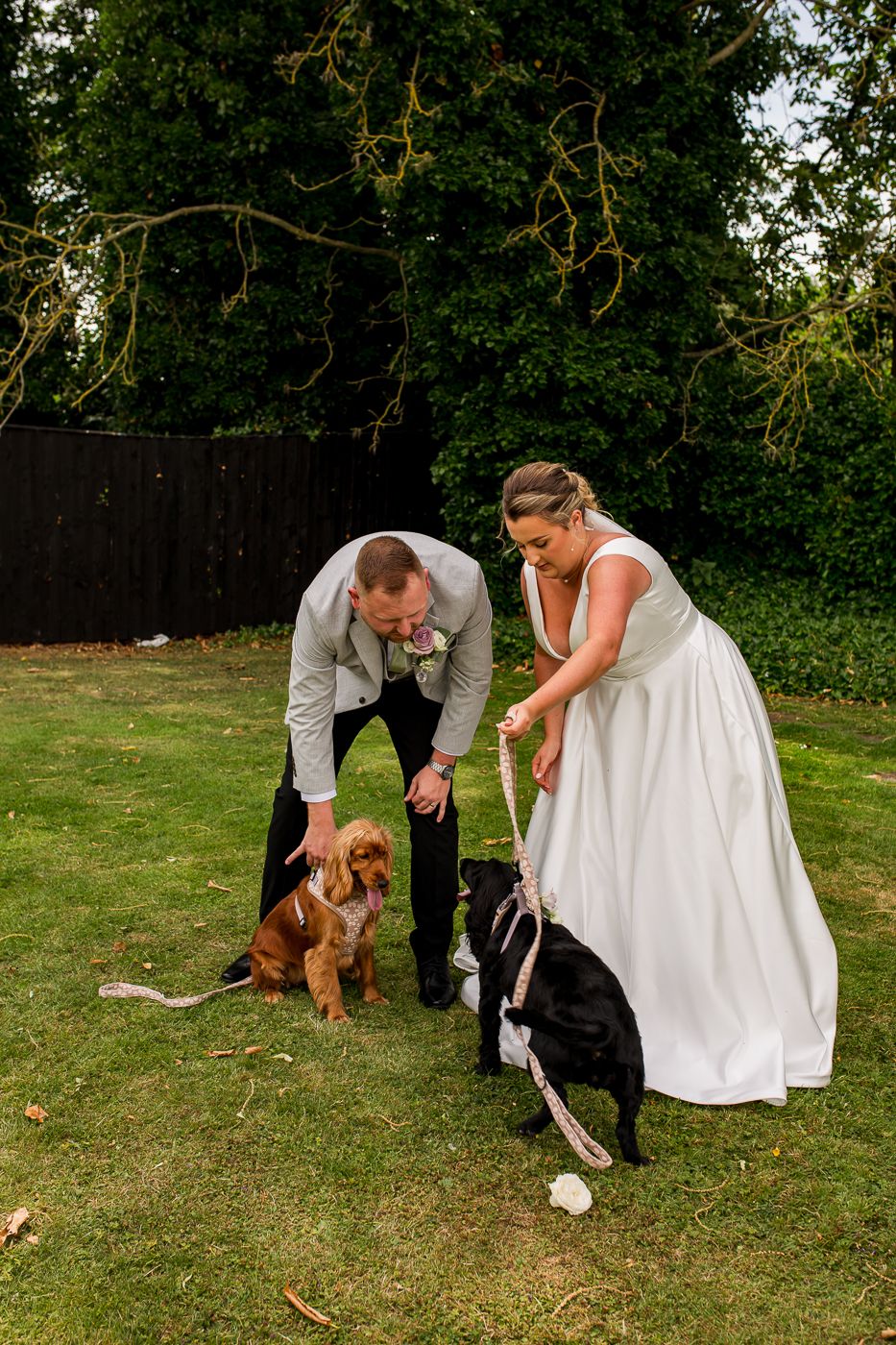 Couple in wedding attire playfully poses with their dogs on grassy lawn.