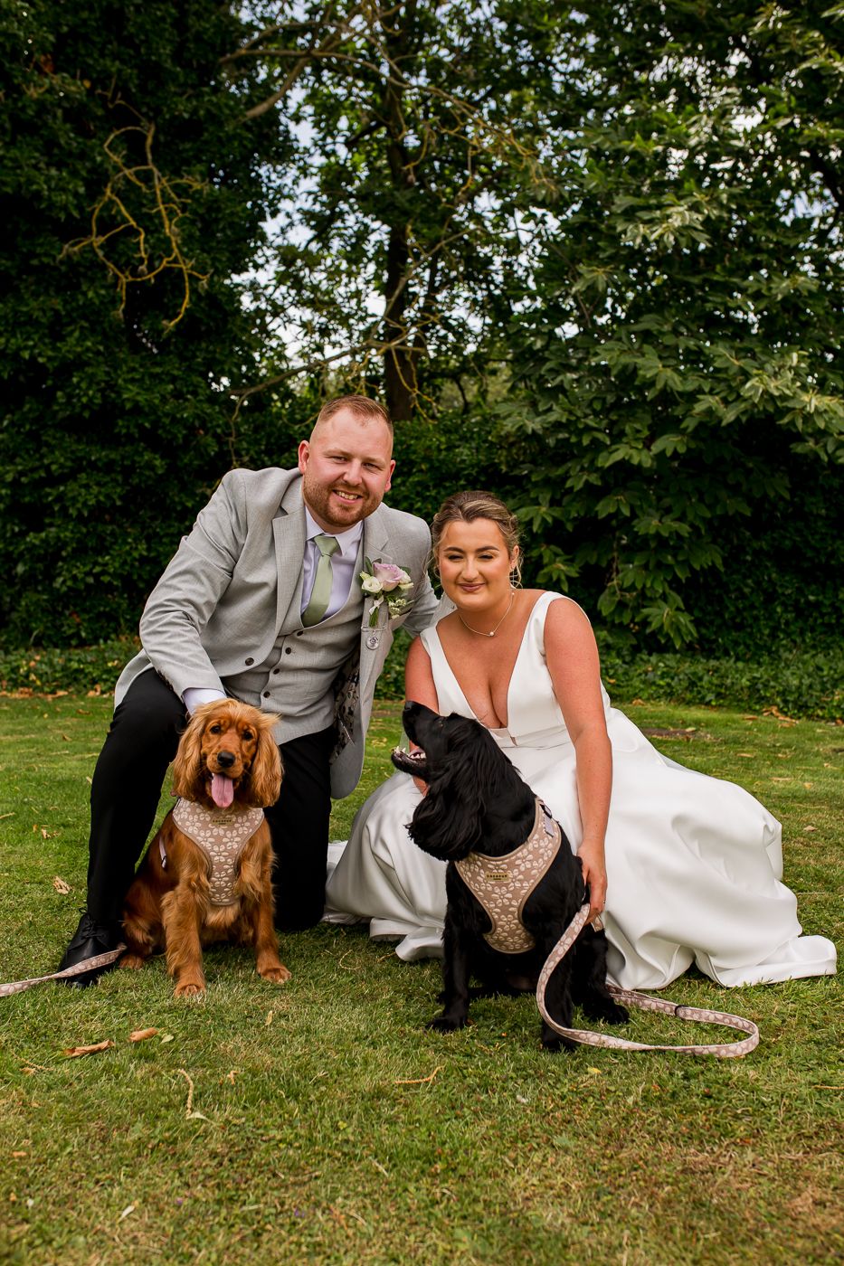 Wedding couple kneeling on grass with two dogs during outdoor photo session.