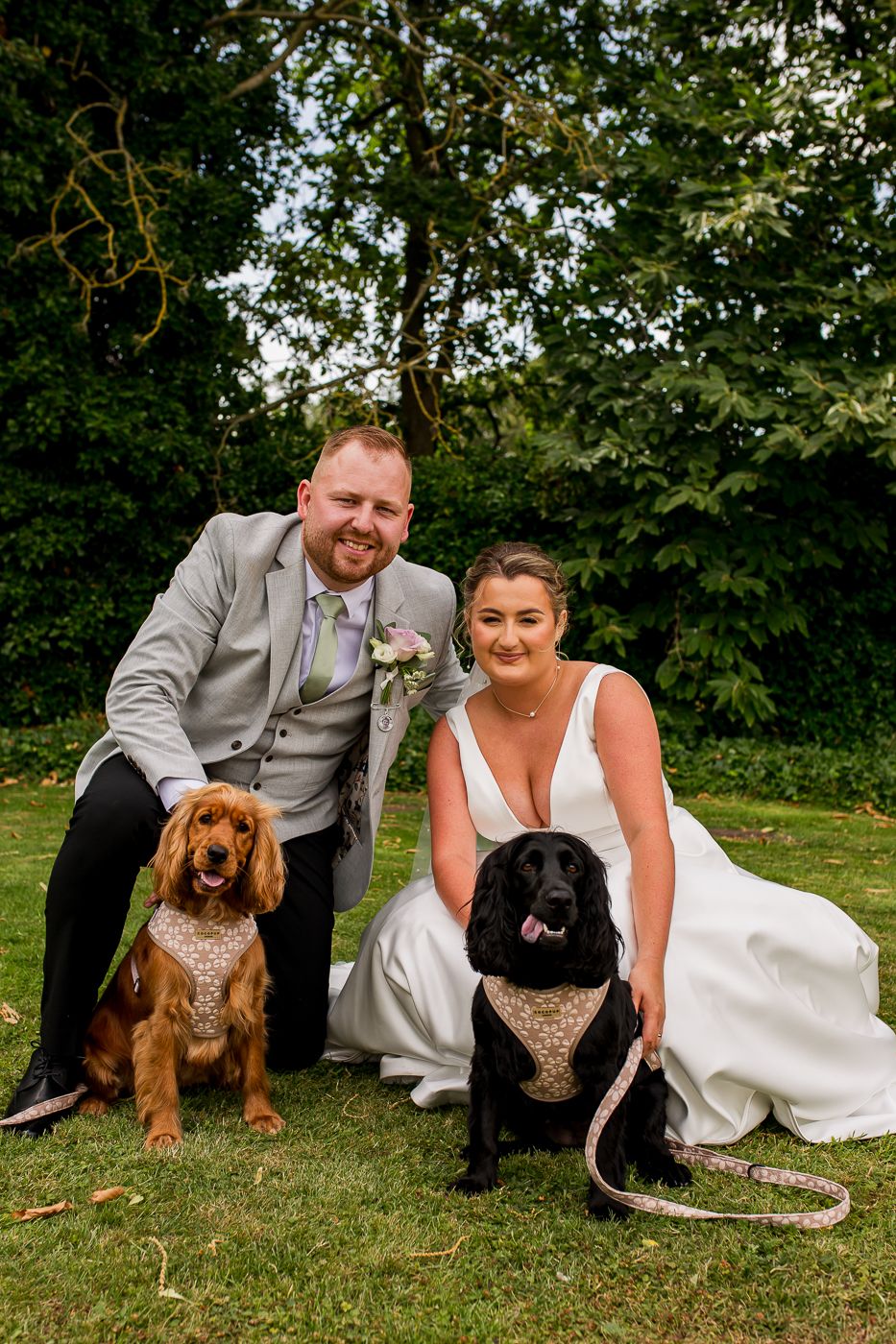 Newlyweds sitting on lawn with their brown and black dogs during outdoor portraits.
