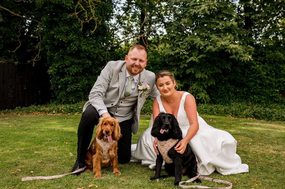 Bride and groom share candid moment with their dogs during outdoor wedding photos.