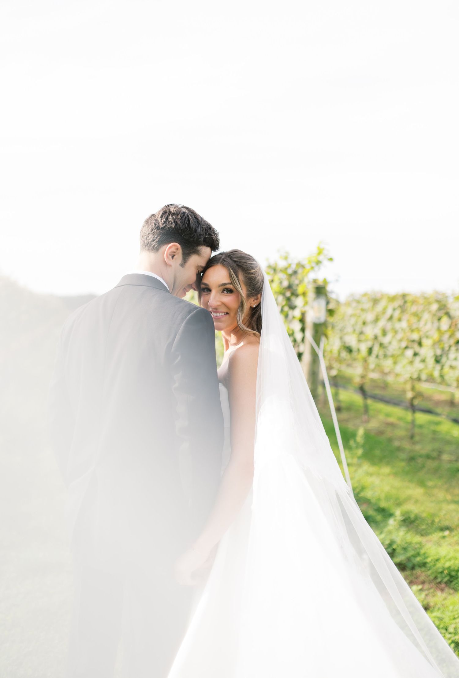 Romantic vineyard wedding portrait with flowing veil in soft sunlight.