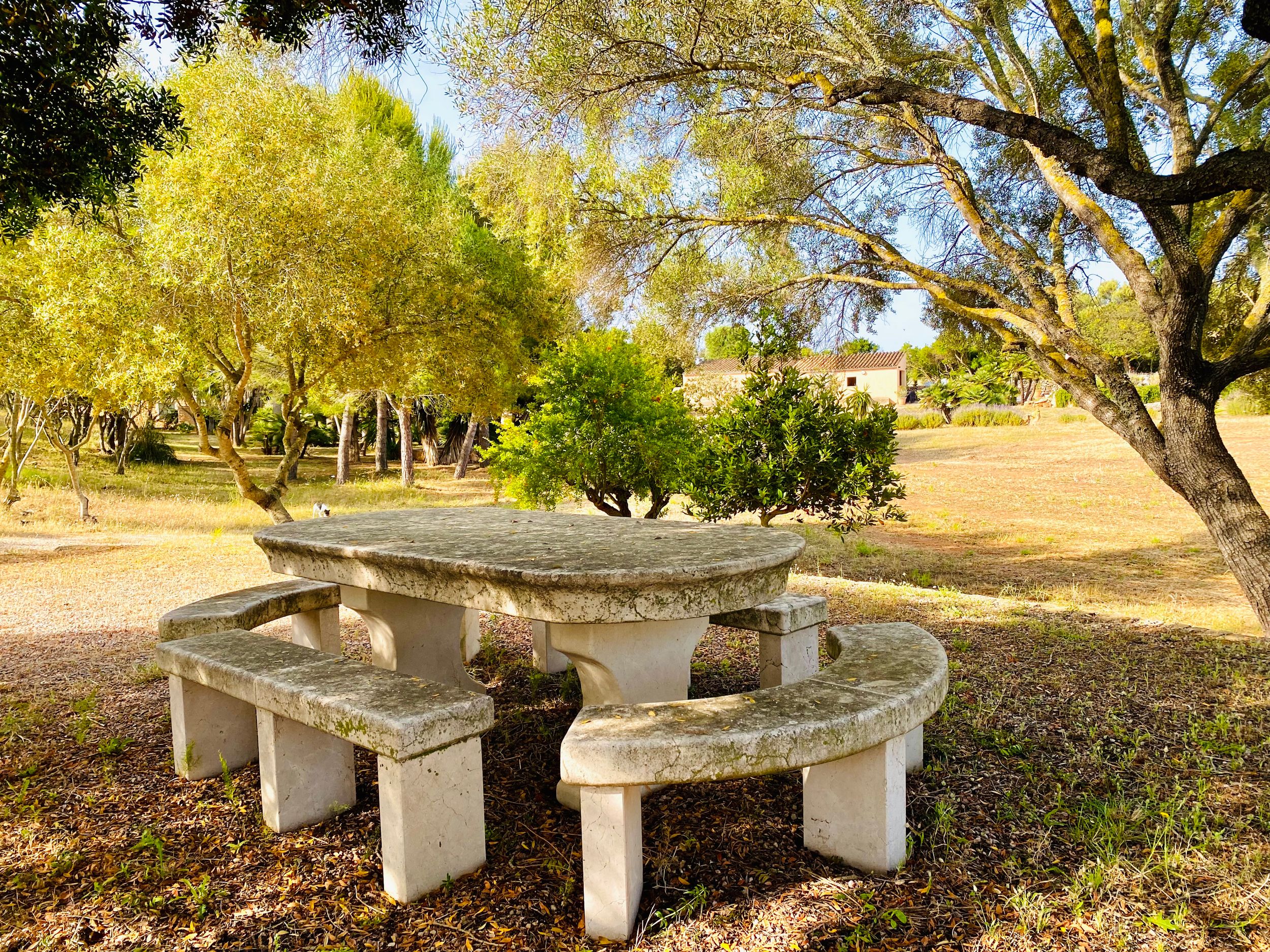 Stone benches arranged in a curved formation under shady oak trees in a peaceful park setting.