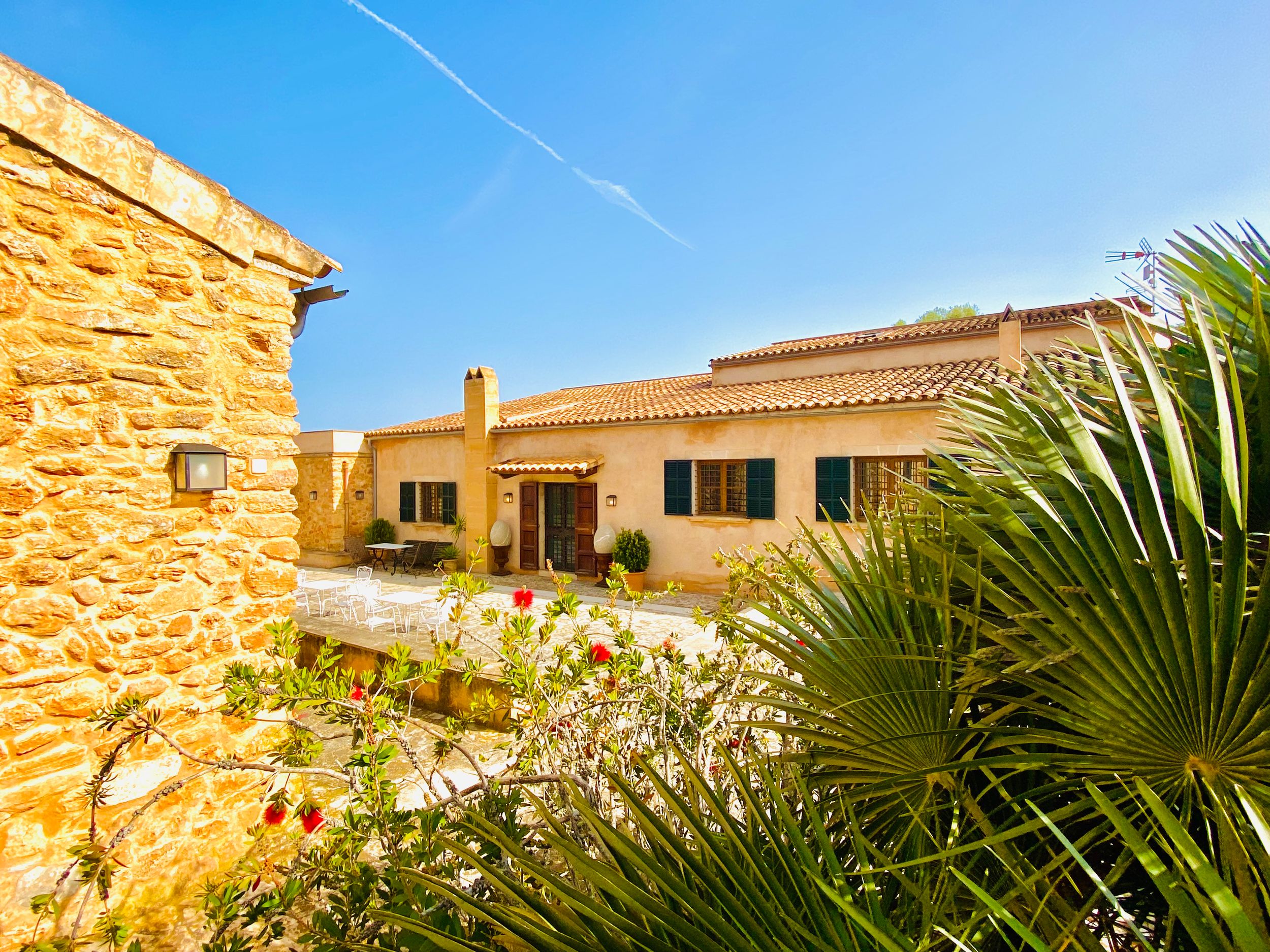 Mediterranean villa with stone walls and palm fronds under bright blue sky with contrasting warm sunlit architecture.