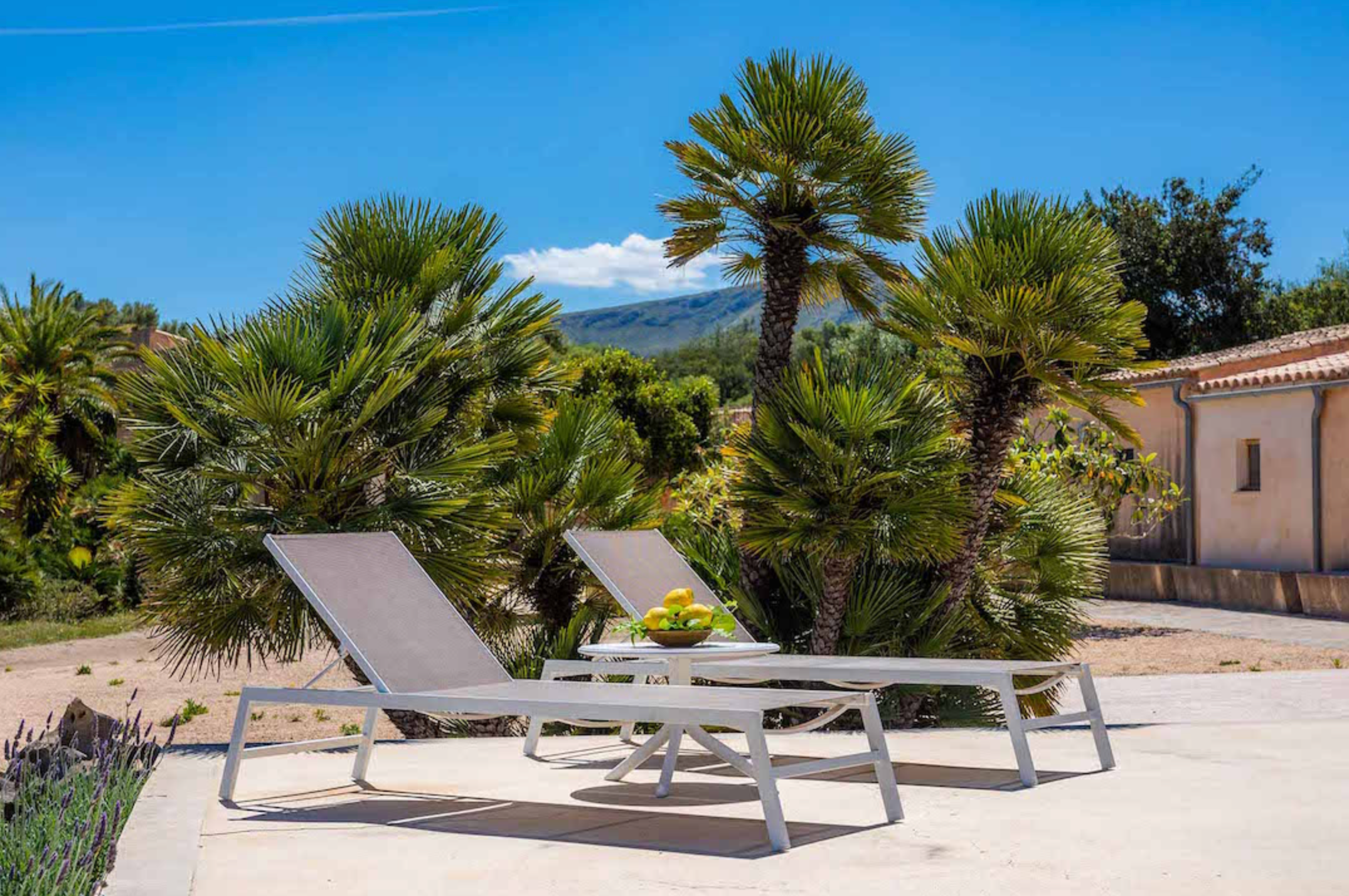 Palm trees and lounge chairs line a sunny outdoor patio area with mountain views in the background.