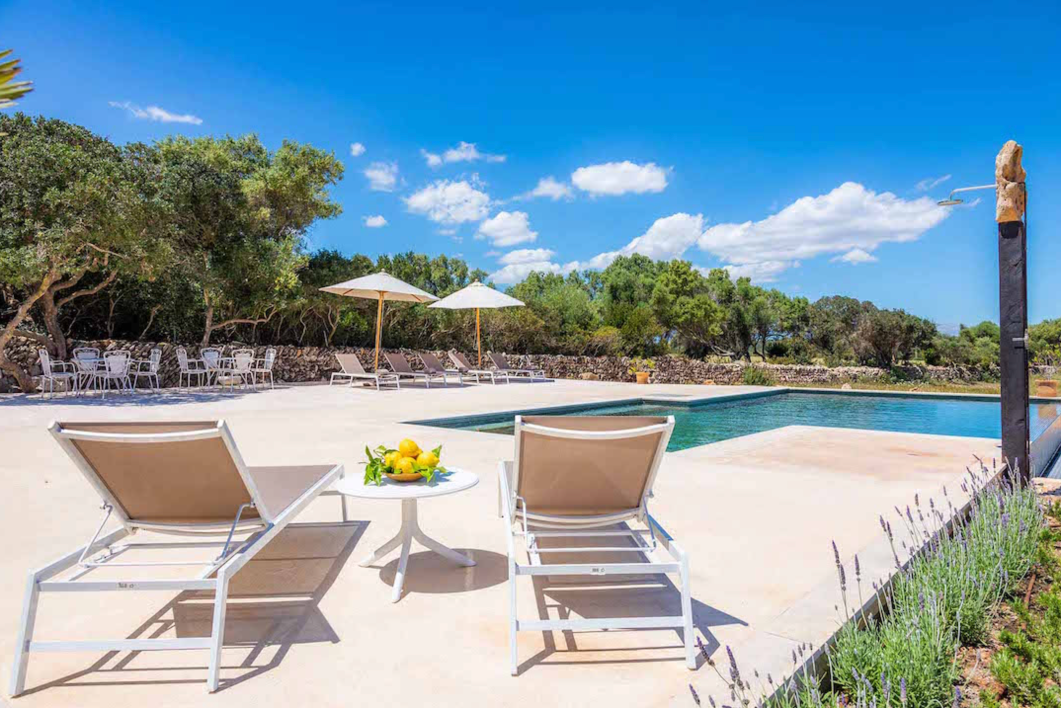 Poolside lounge chairs overlooking a serene swimming pool with landscaped gardens and blue skies on a sunny day.
