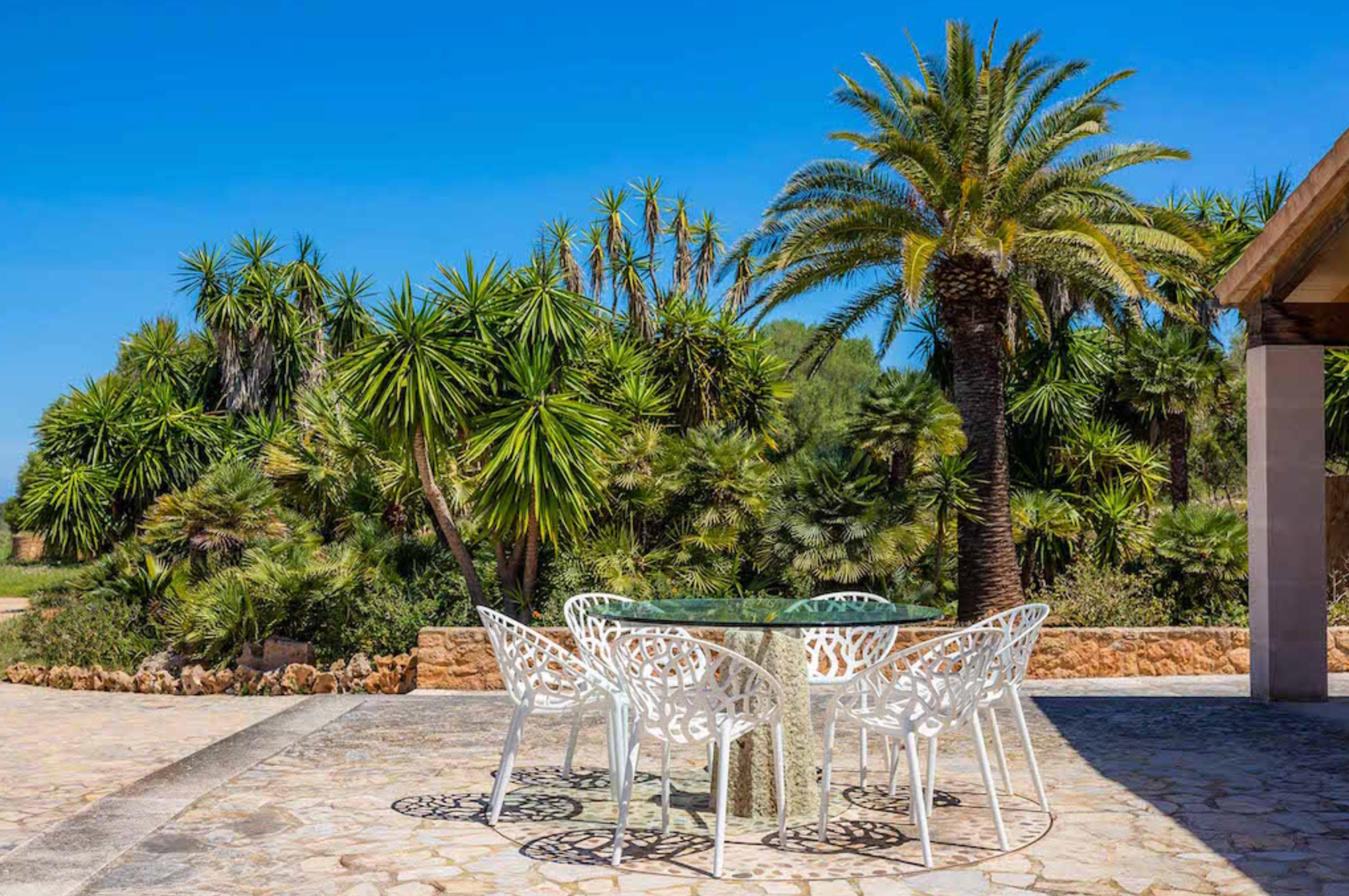 Panoramic view of a tropical resort patio with white chairs and palm trees against a bright blue sky.