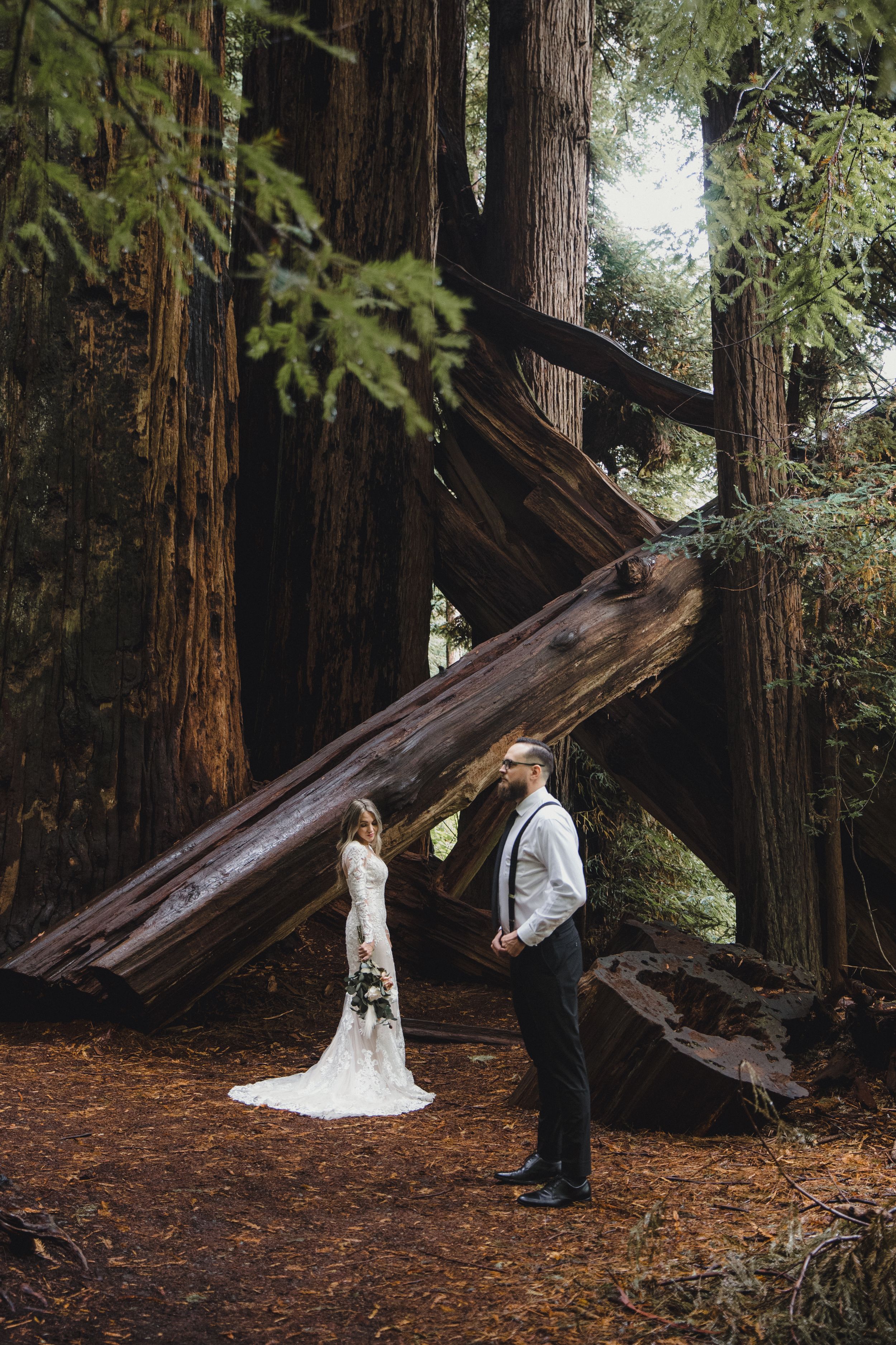 A romantic wedding photoshoot among towering redwood trees in a misty forest setting.