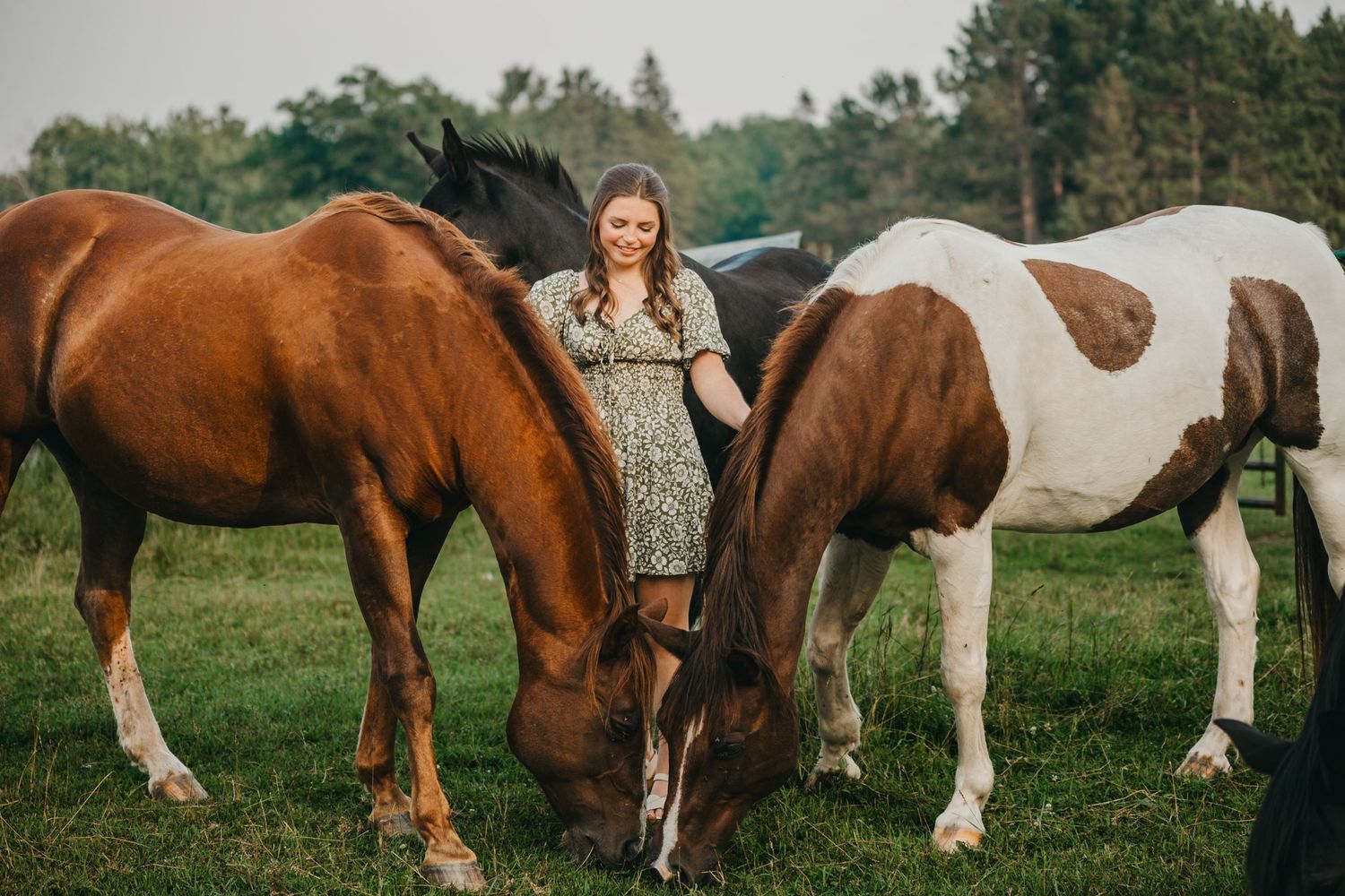 senior grad photos with horses, senior grad photographer in Carlton MN