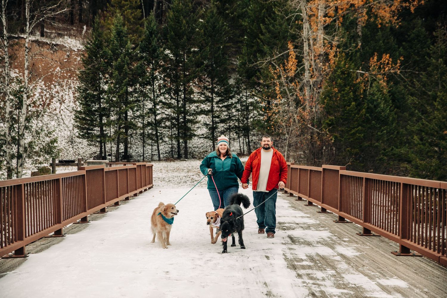 Couple walking three dogs on a snowy bridge surrounded by pine trees in winter.