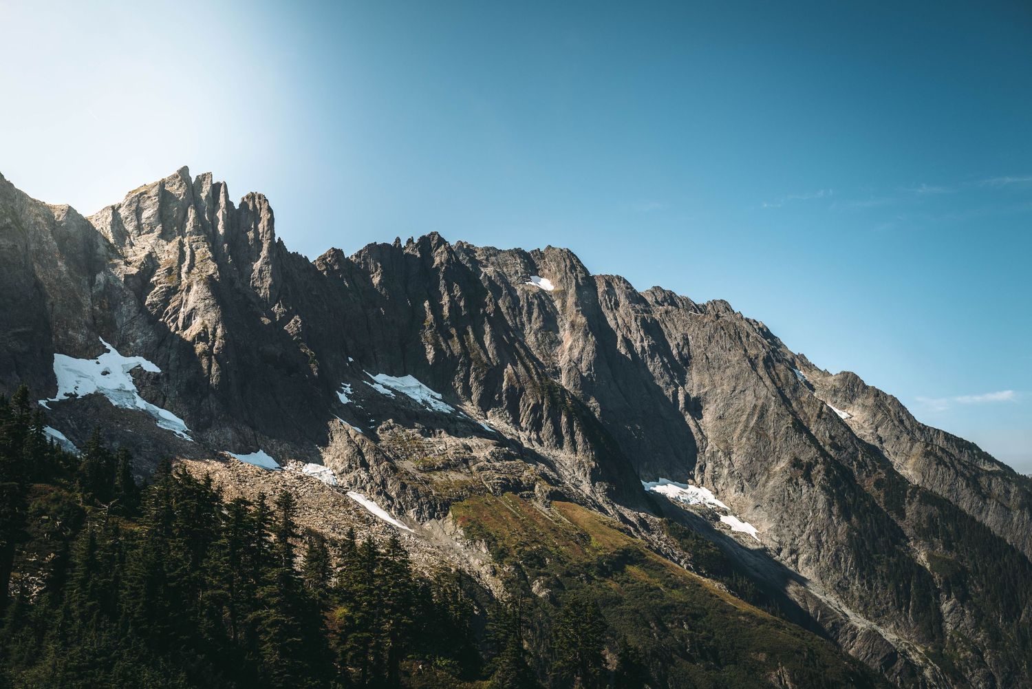 Rocky mountain peaks with patches of snow under a clear blue sky, surrounded by dense evergreen forest in bright sunlight.