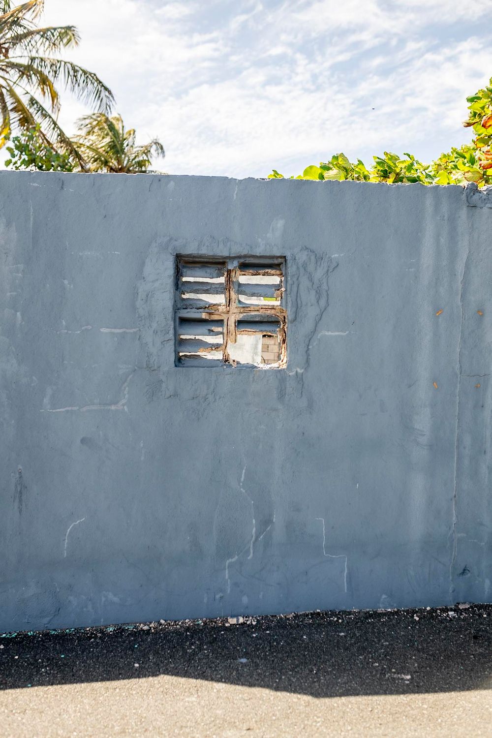 Weathered gray concrete wall with a broken wooden shutter window, flanked by tropical palm and fruit trees.