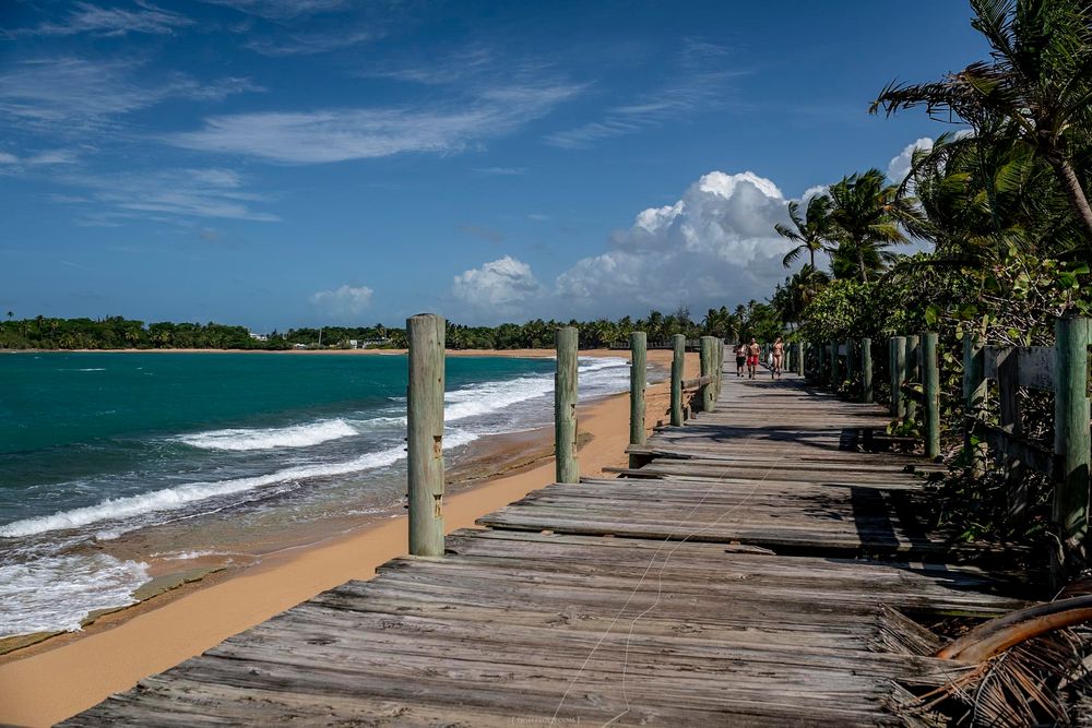 Wooden boardwalk along a tropical beach with palm trees, calm turquoise waves, and a bright blue sky with white clouds.