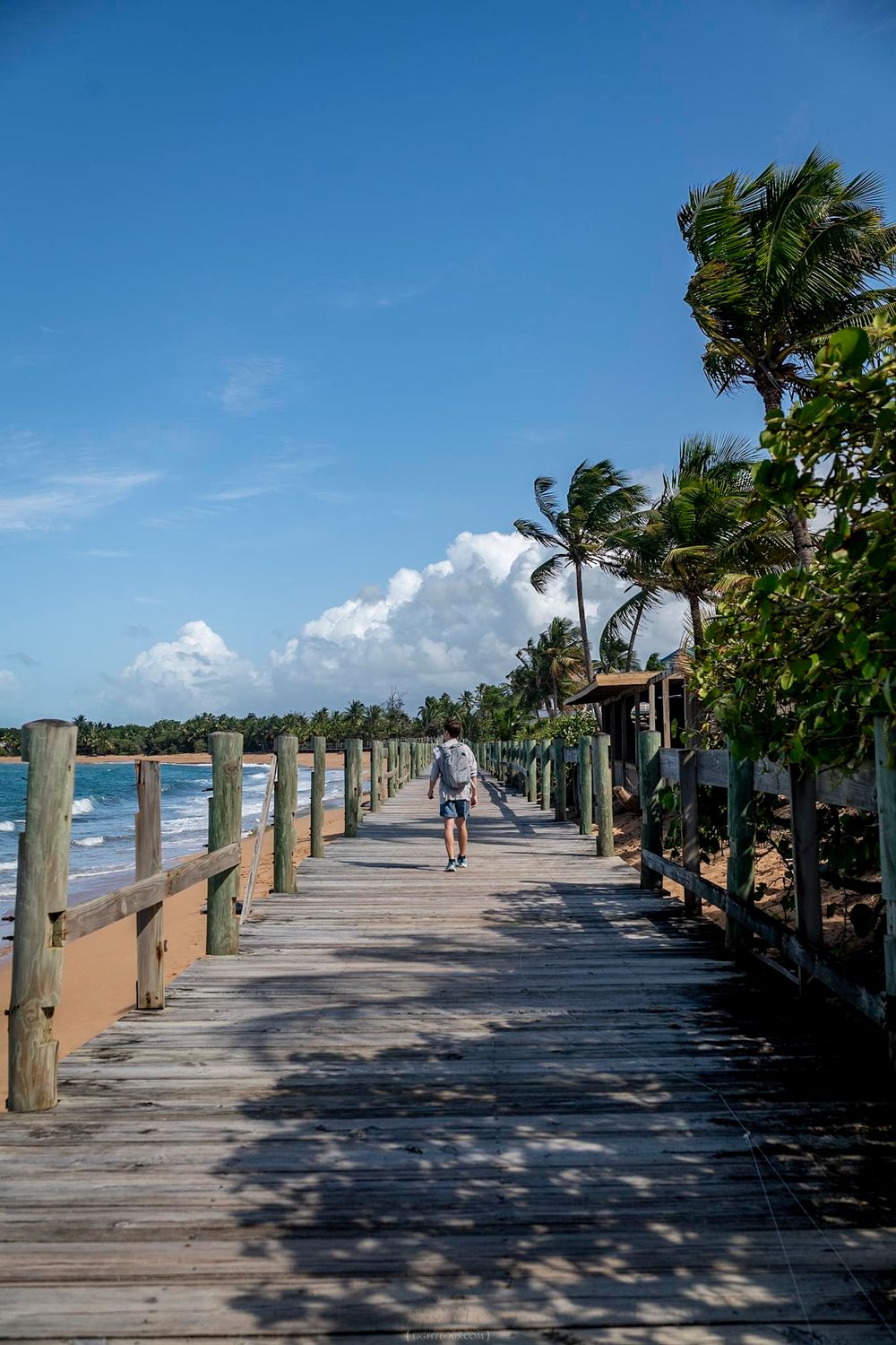 Person walking on a wooden boardwalk along a tropical beach with palm trees and blue sky.