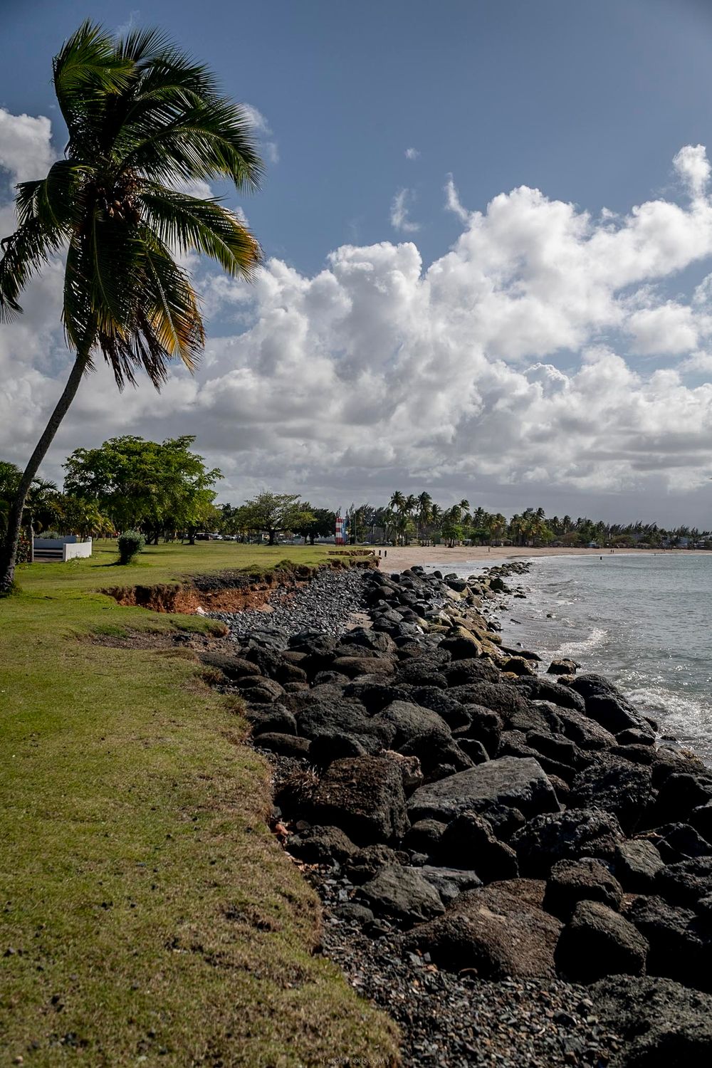 Rocky shoreline with palm trees and lush greenery along a tropical beach under dramatic cloudy skies.