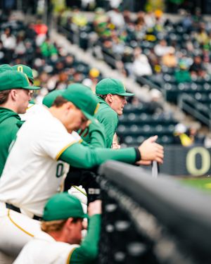 Oregon Ducks baseball players in green uniforms watching from the dugout during a college baseball game.