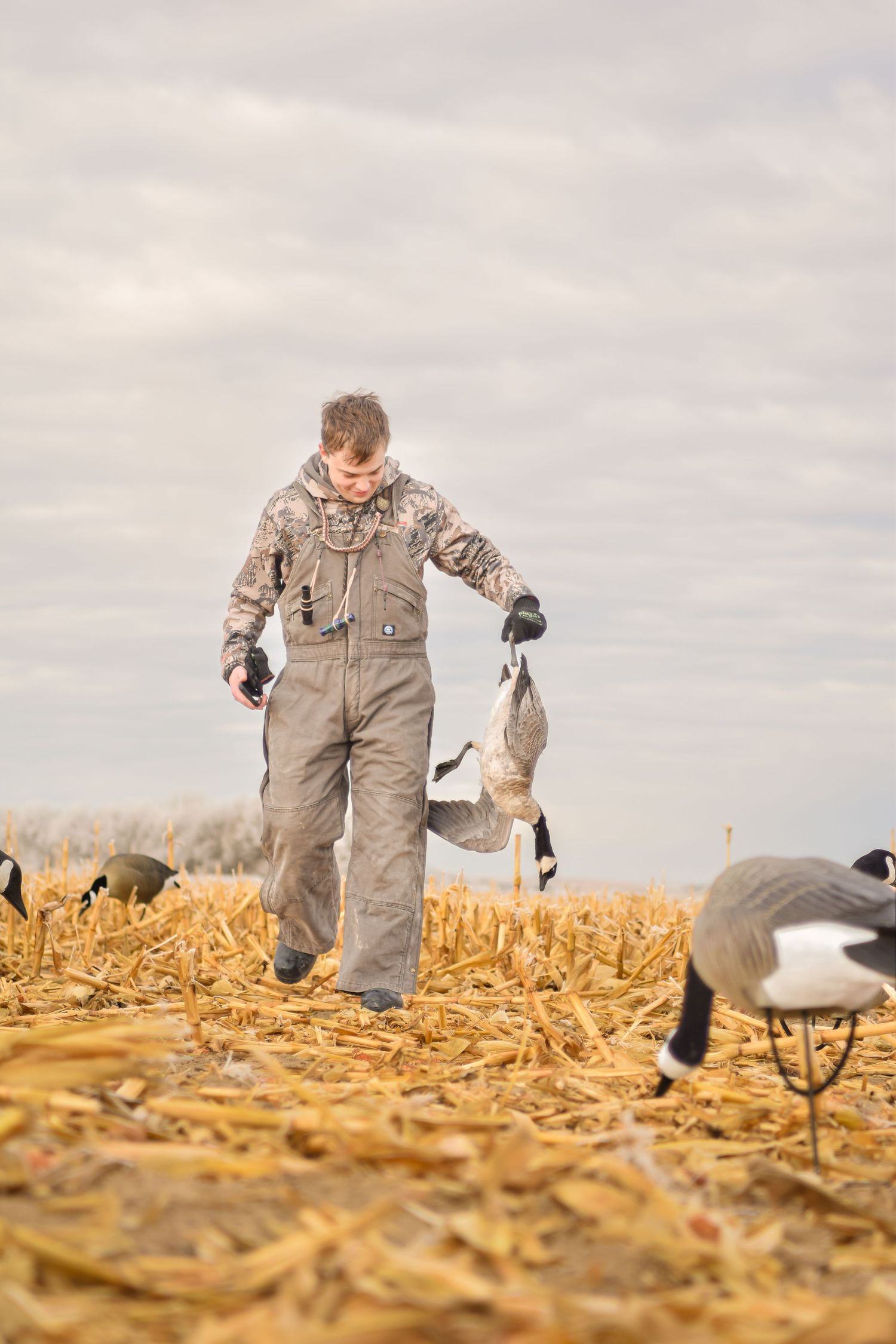 Hunter in camo overalls carrying a Canada goose decoy across a harvested cornfield on an overcast day.