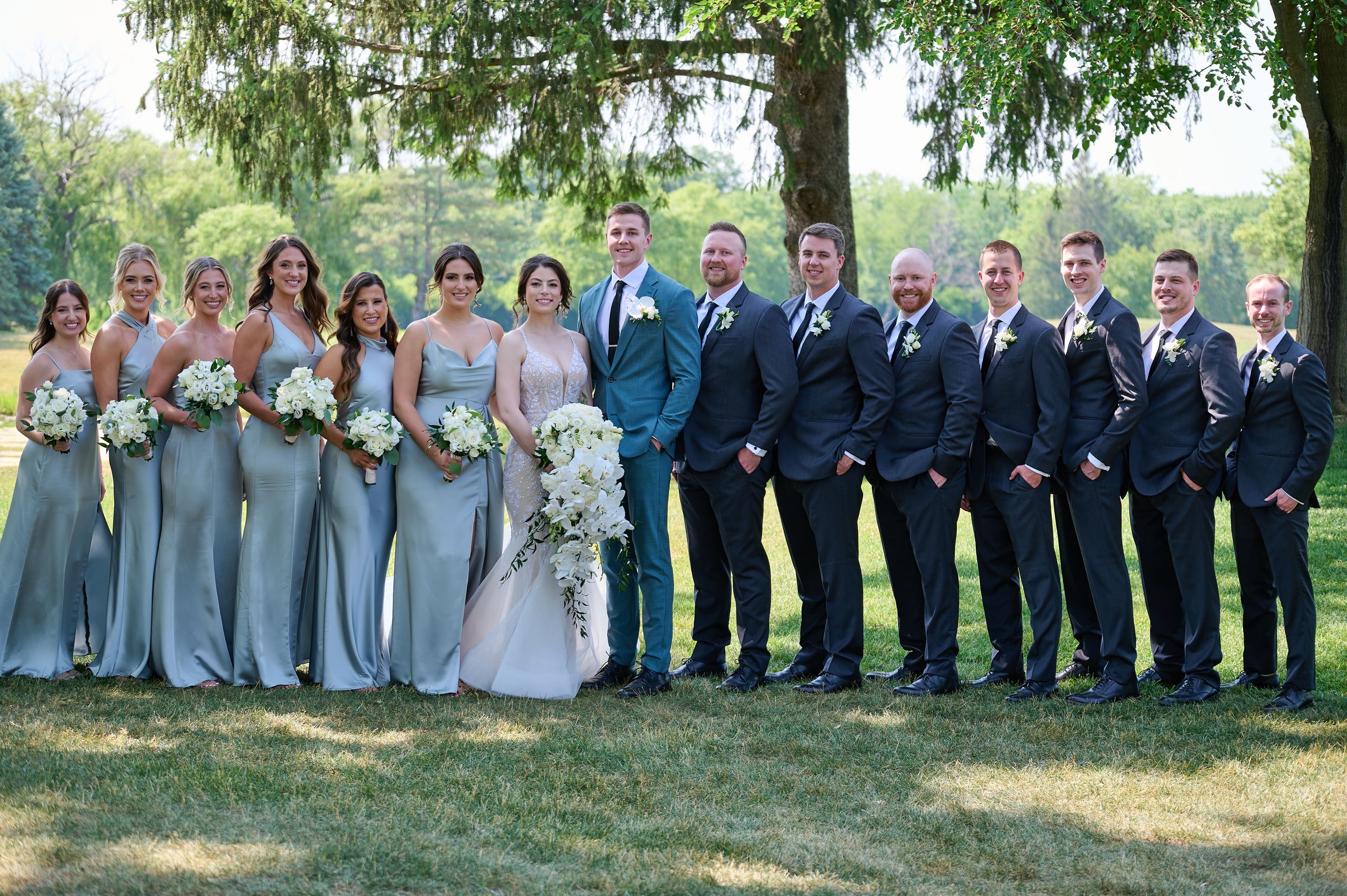 Wedding party posing outdoors, bridesmaids in silver gowns and groomsmen in navy suits flanking bride and groom.