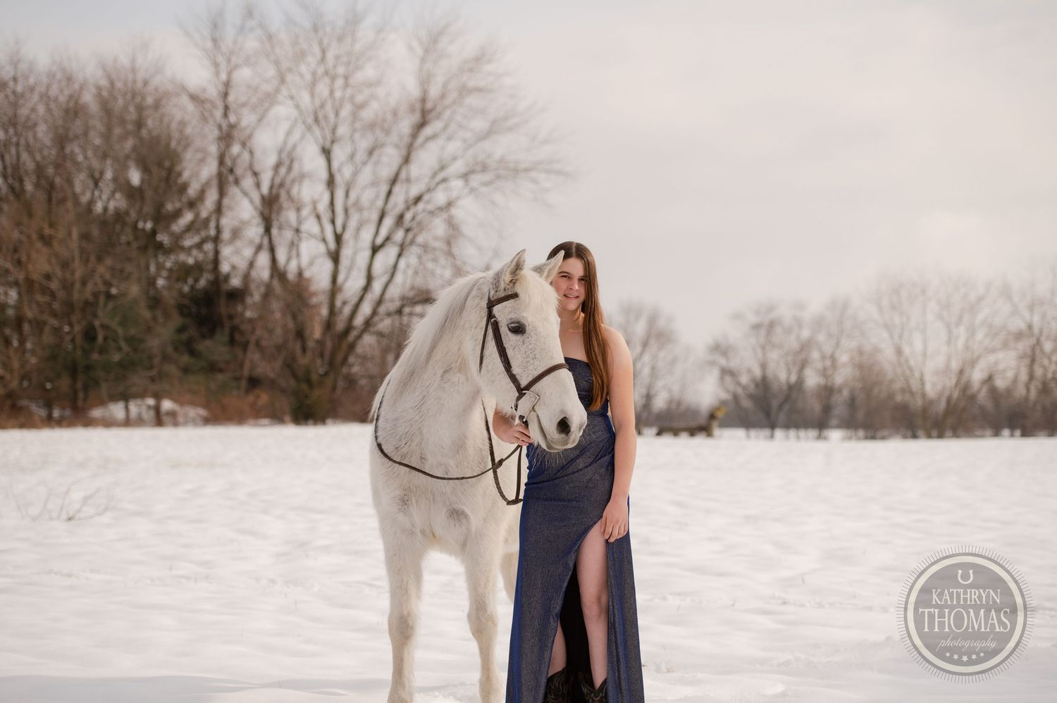 A beautiful white horse and person in a navy gown pose together in a snow-covered landscape.