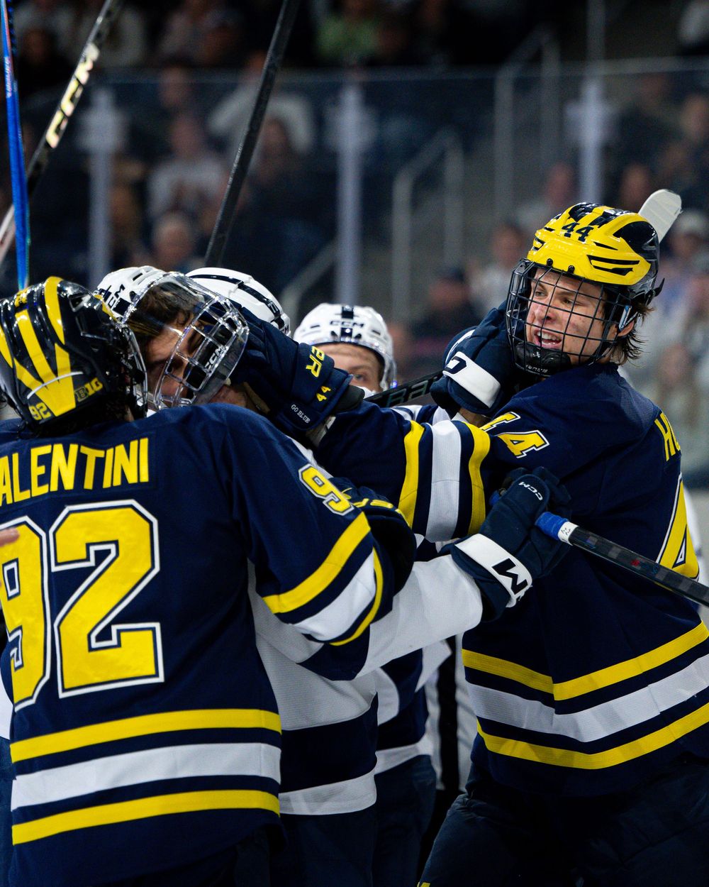 Hockey players in blue and yellow uniforms celebrate on the ice after scoring during an intense game.