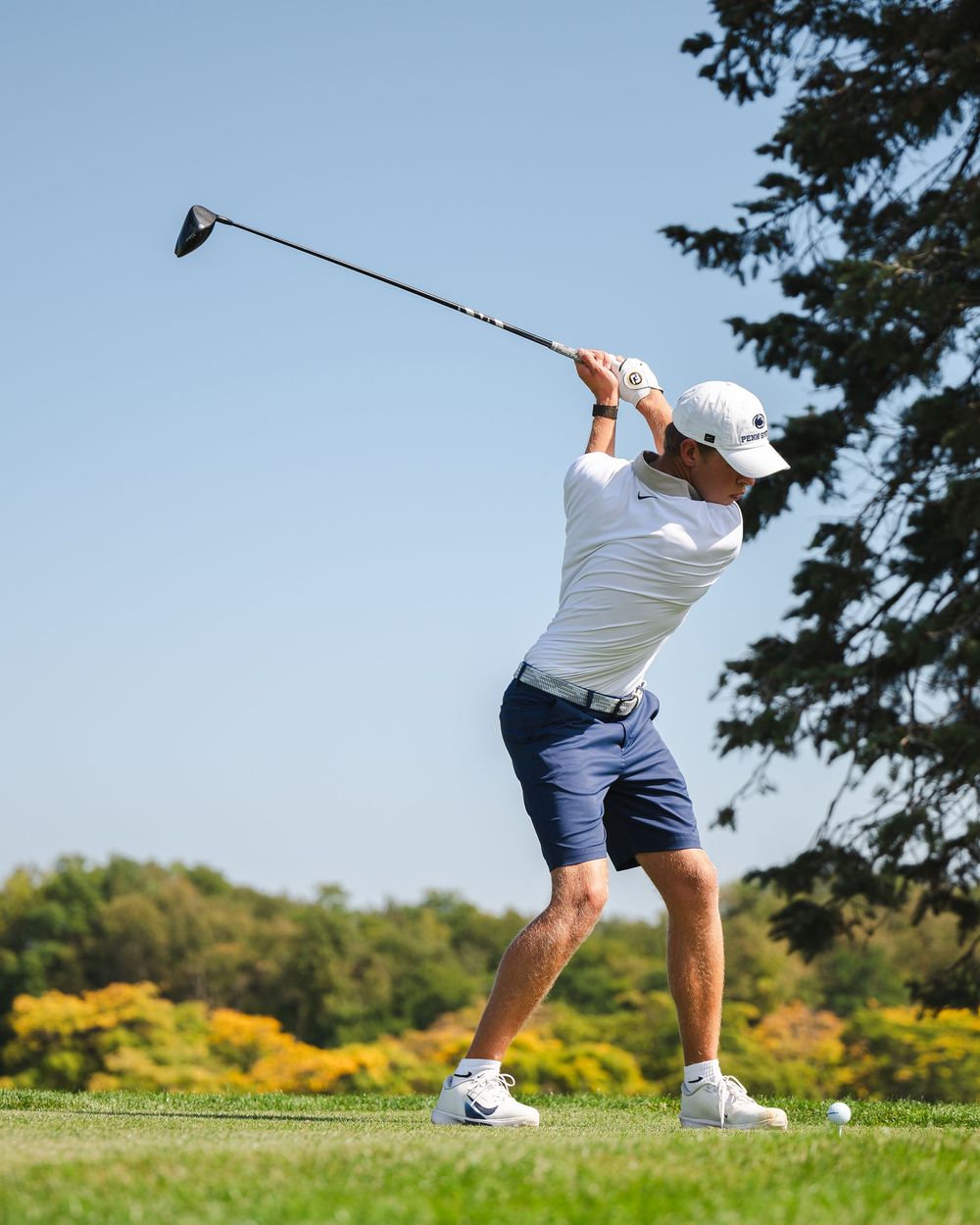 Sequence of golf swing positions showing proper form and follow-through technique on a sunny course.