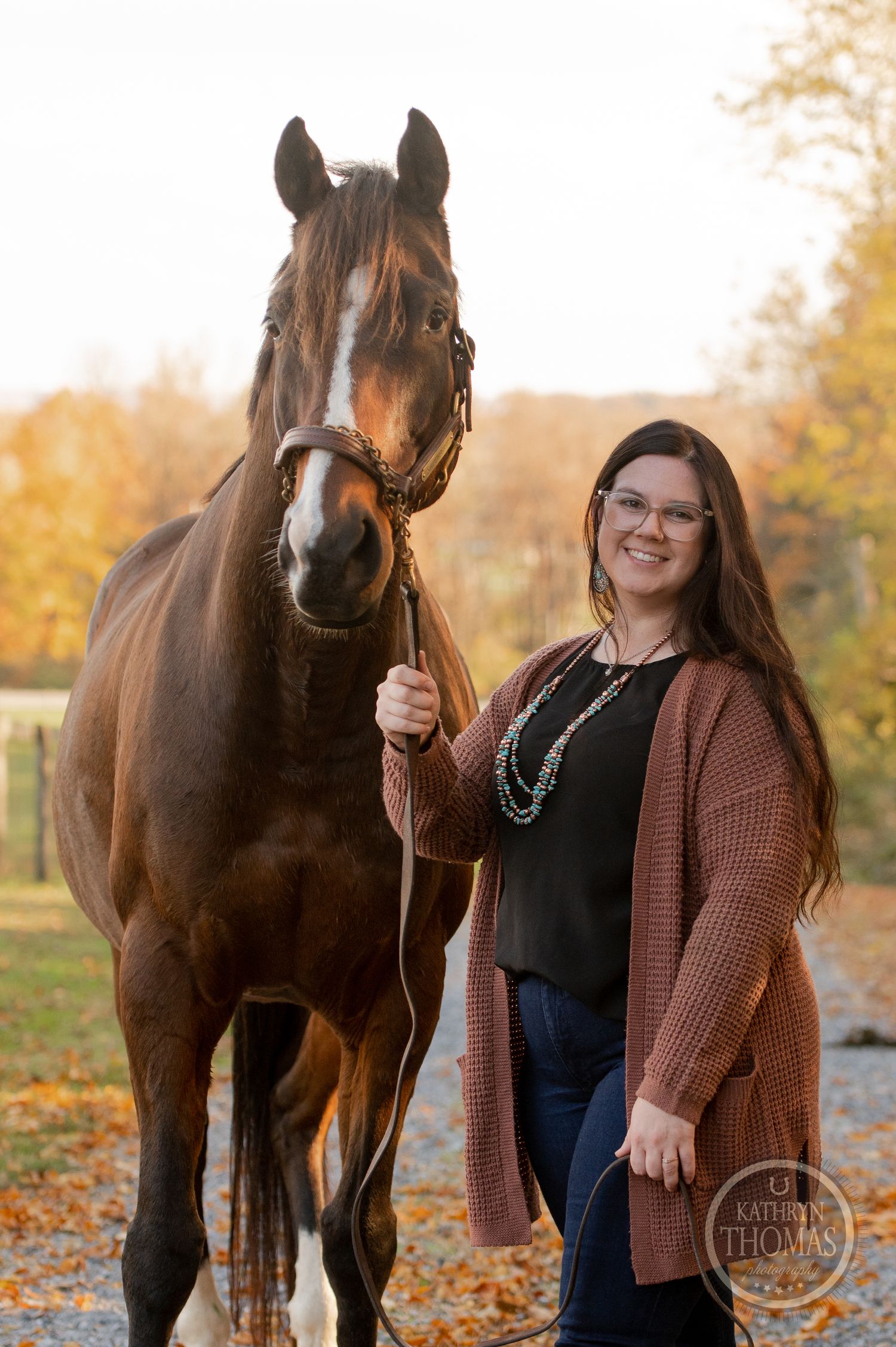 A majestic bay horse poses with their companion against a backdrop of autumn trees and fallen leaves.