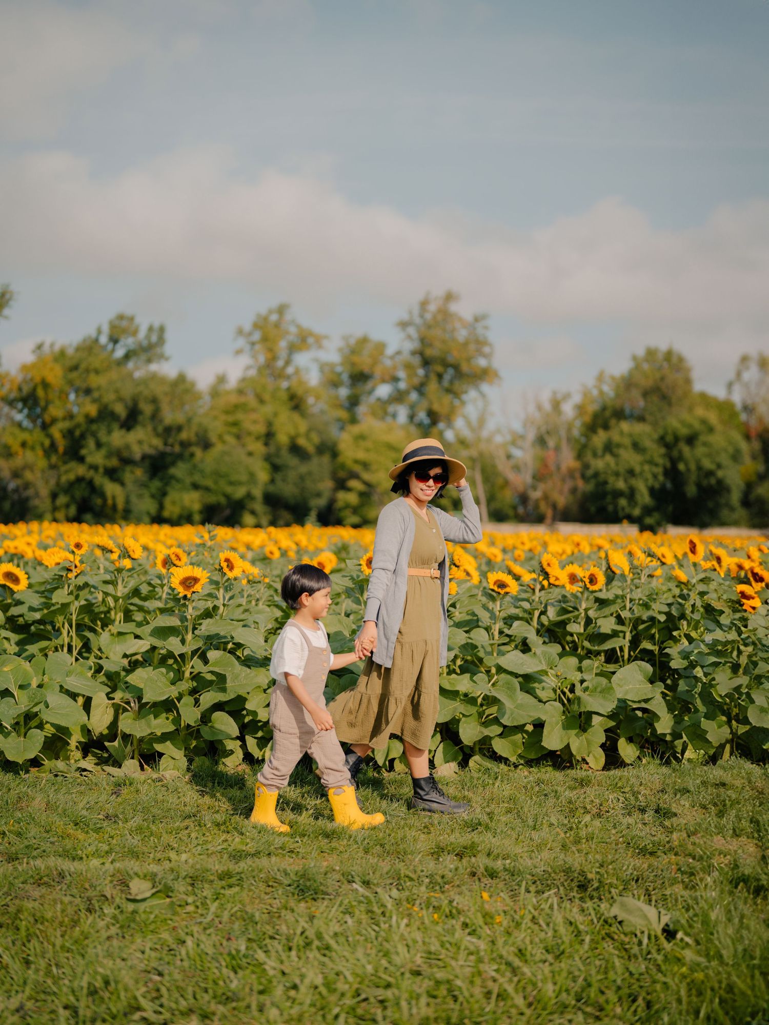 Holland Ridge Sun Flower Session