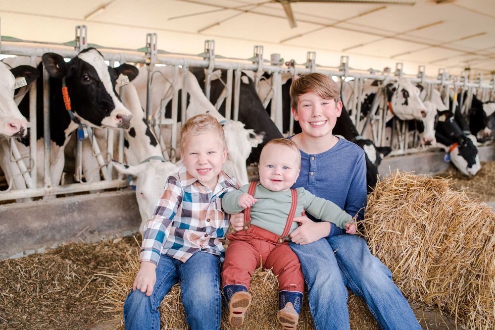 Three young brothers sitting on hay bales in a dairy barn with Holstein cows.