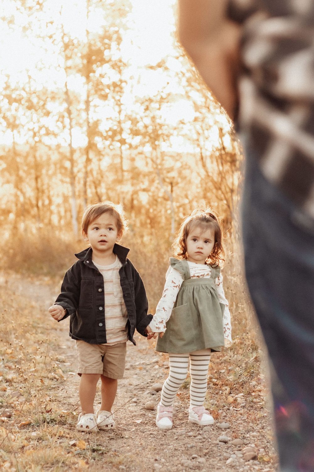 Two small children hold hands while walking through an autumn forest path.