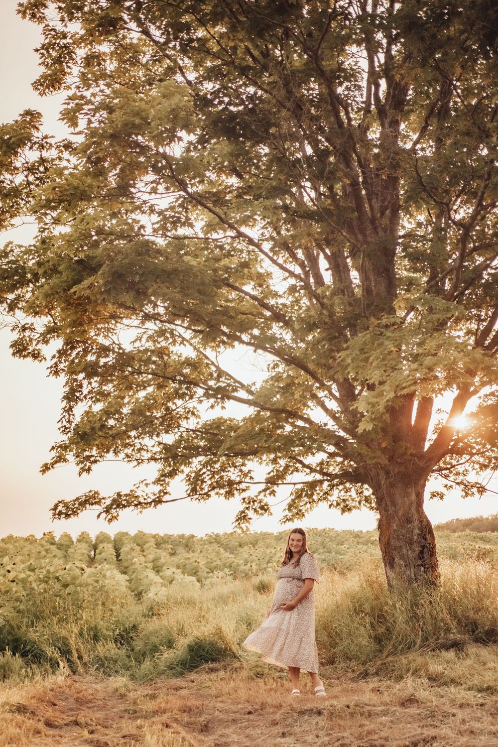 Sunset maternity photo under a large tree with golden light filtering through branches.