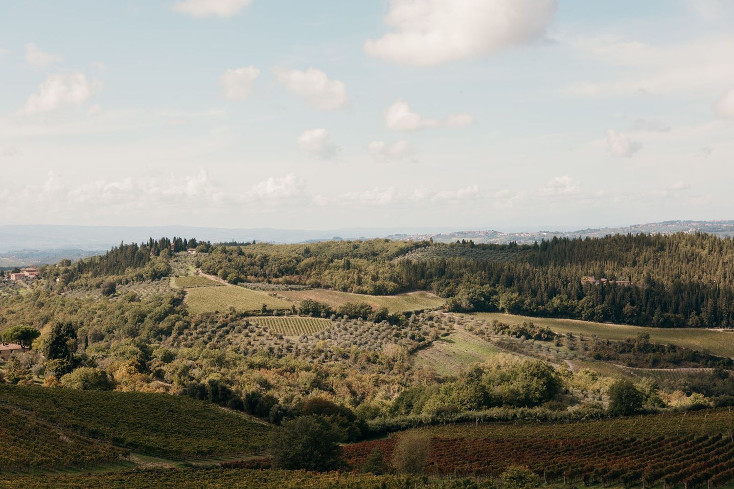 Rolling green hills and forested landscape under a cloudy sky in rural countryside.