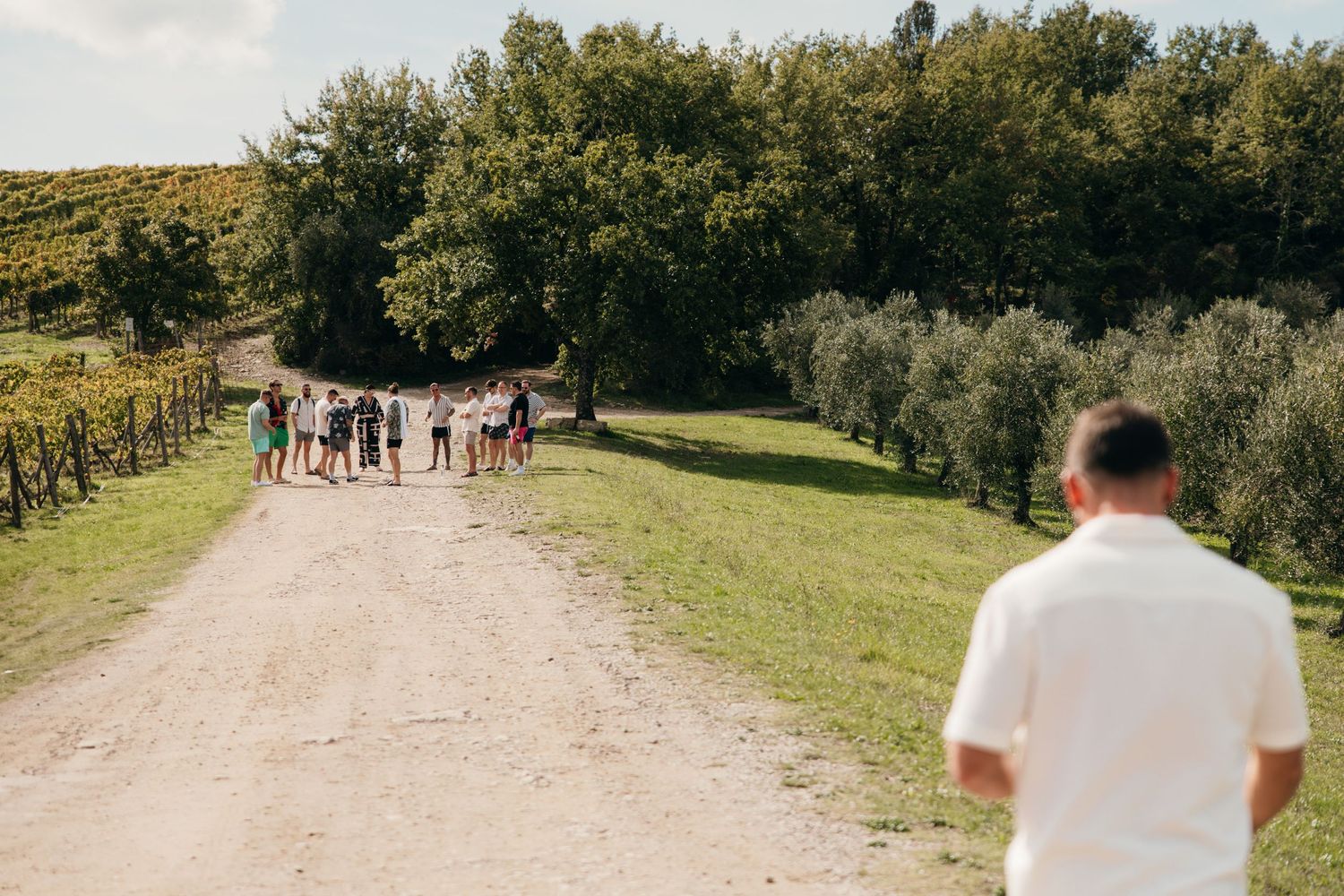 Group walking along a dirt path through vineyard hills on a sunny day.